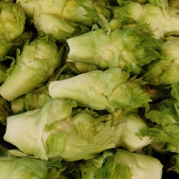 我想出售儿菜，走量1500起