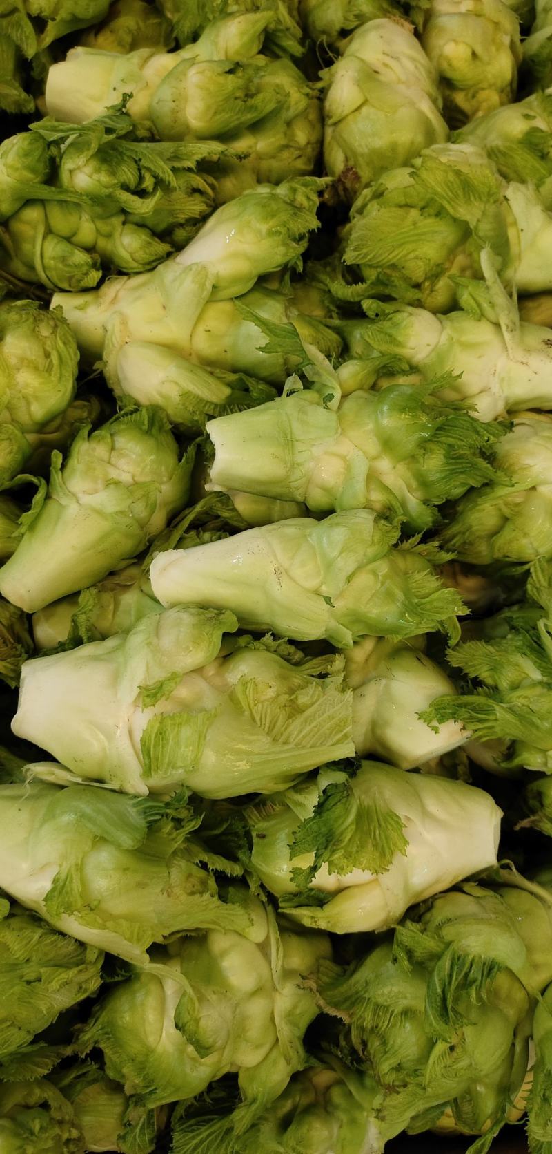 我想出售儿菜，走量1500起