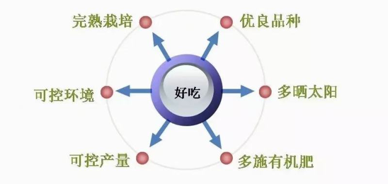 蒙阴蜜桃原产地，蒙阴红桃，露地种植，自然成熟，硬吃脆甜