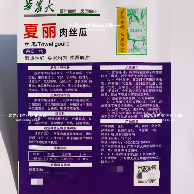 夏丽肉丝瓜种子华南农业大学大肉花点丝瓜种子耐热夏秋播种