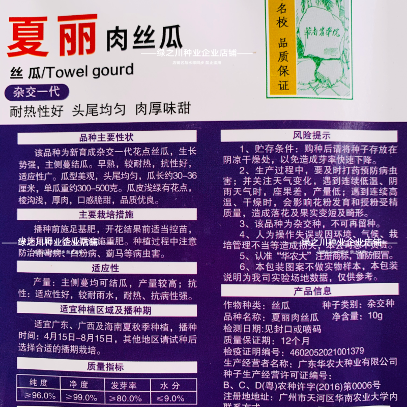 夏丽肉丝瓜种子华南农业大学大肉花点丝瓜种子耐热夏秋播种