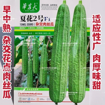 华南农业大学夏花2号杂交肉丝瓜种子肉厚味甜耐热大花点丝瓜