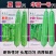 夏丽/华夏1号花点大肉肉丝瓜种子棱角丝瓜种子早熟耐热