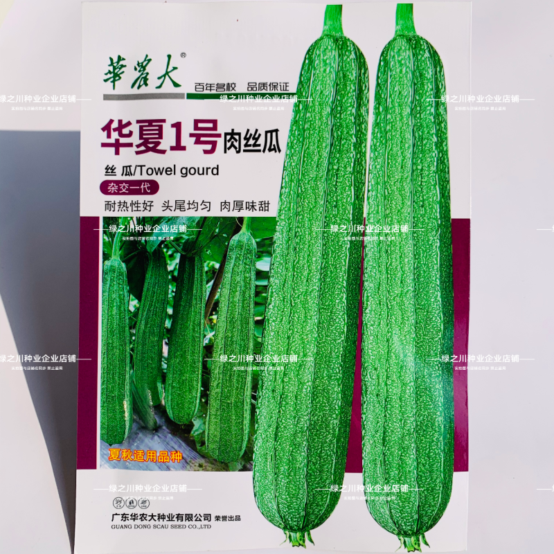 夏丽/华夏1号花点大肉肉丝瓜种子棱角丝瓜种子早熟耐热