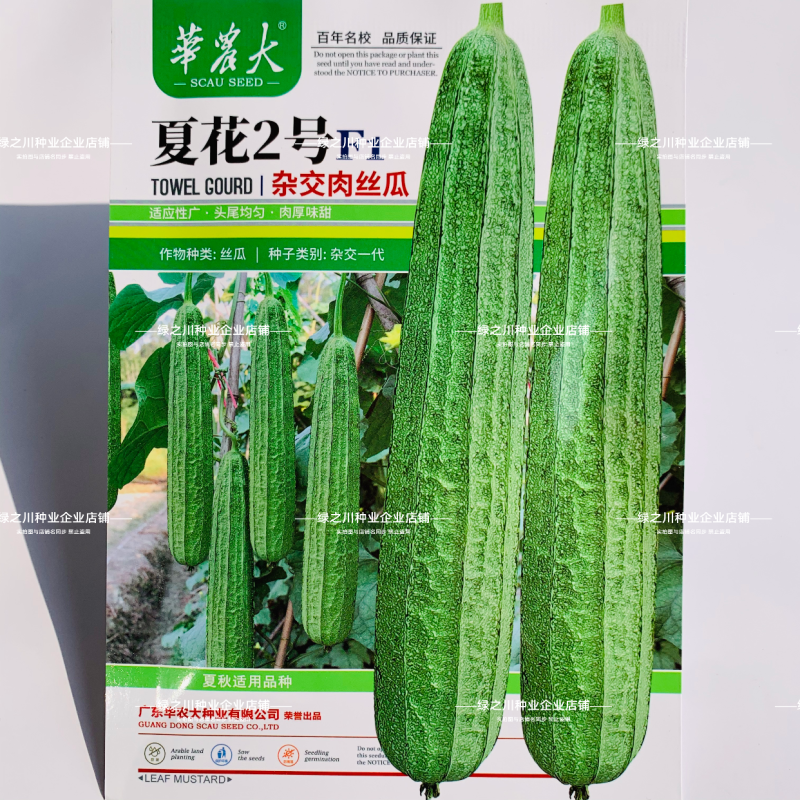 夏丽/华夏1号花点大肉肉丝瓜种子棱角丝瓜种子早熟耐热