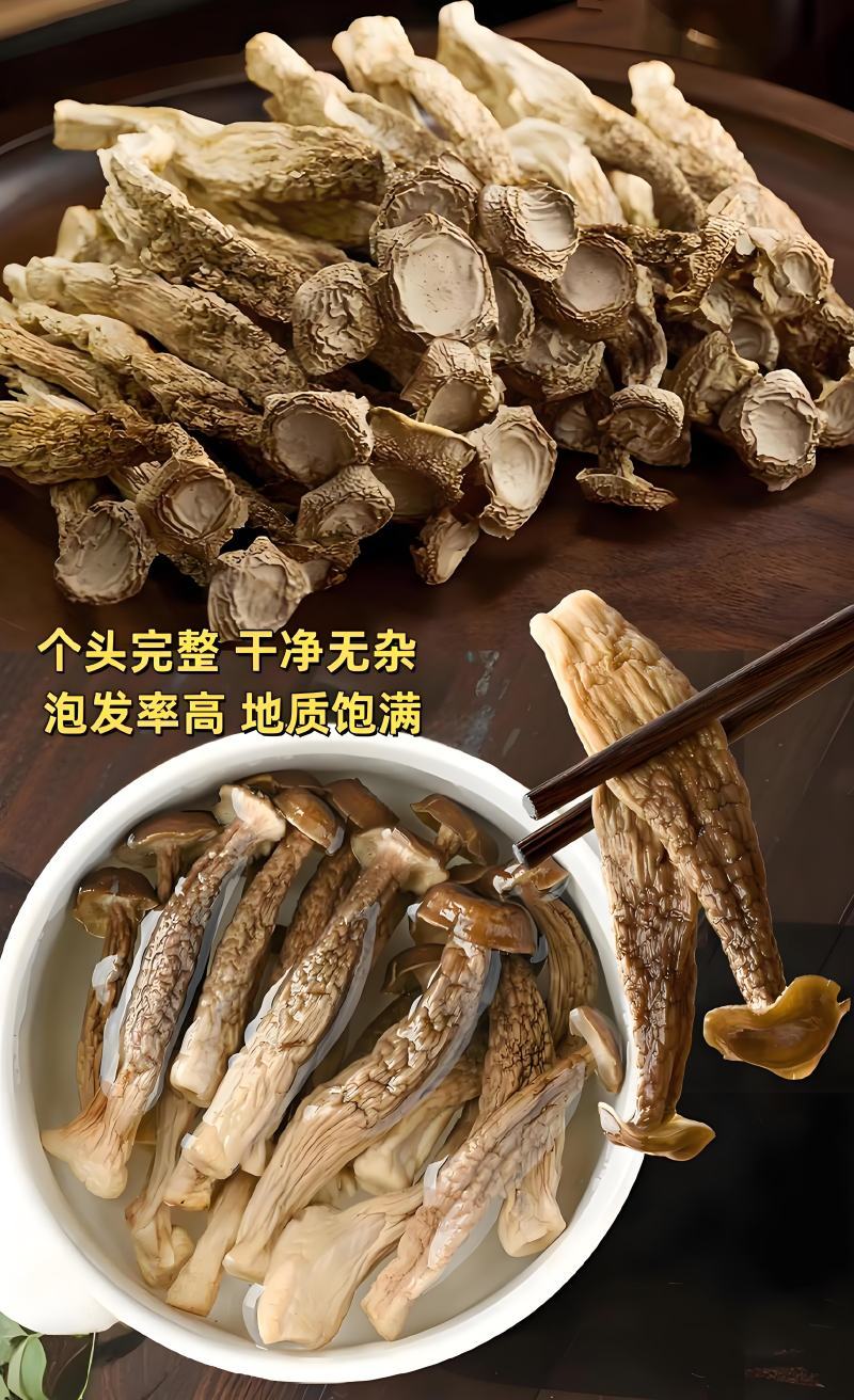 古田鹿茸菇(贵旺）(品品鲜）(如意情）一件代发实力工厂