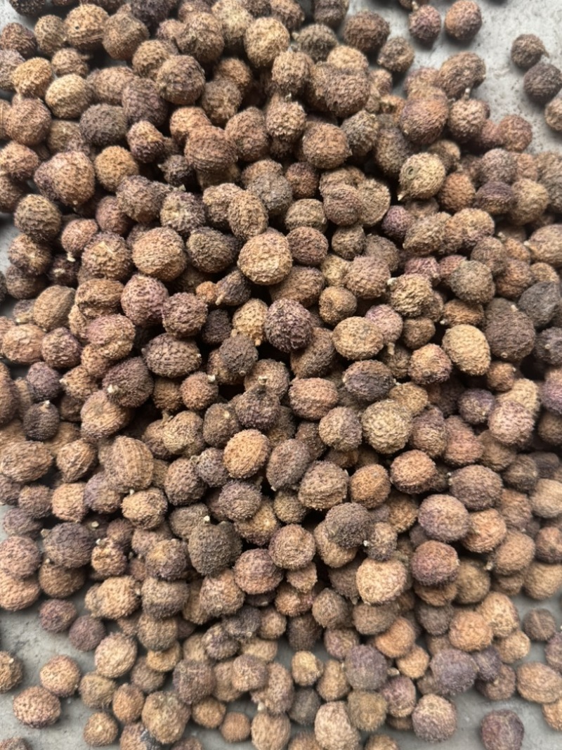 阳春砂仁干货批发零售各种规格，质量很好……
