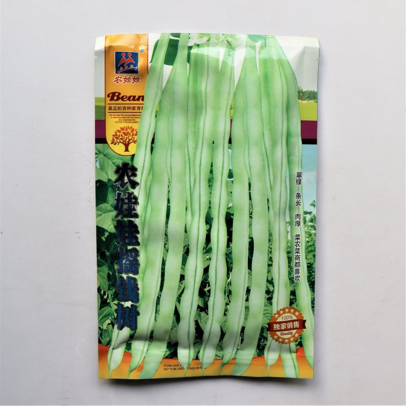 农娃娃摇钱树架豆种子高产结荚能力强豆荚嫩白绿厚肉春秋菜豆