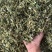 益母草