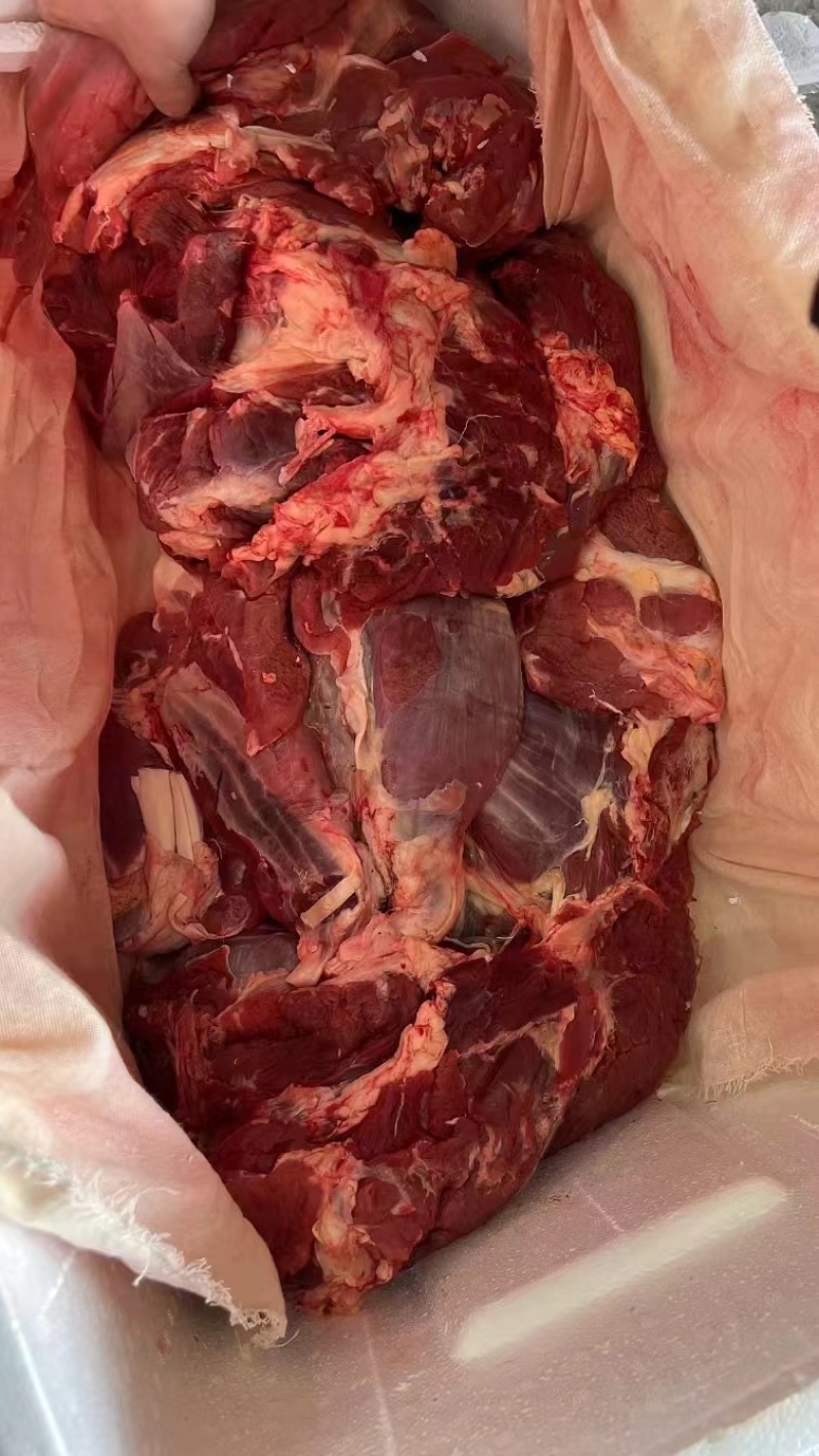 牛肉四分体牛肉精修去油牛前牛后源头厂家直销