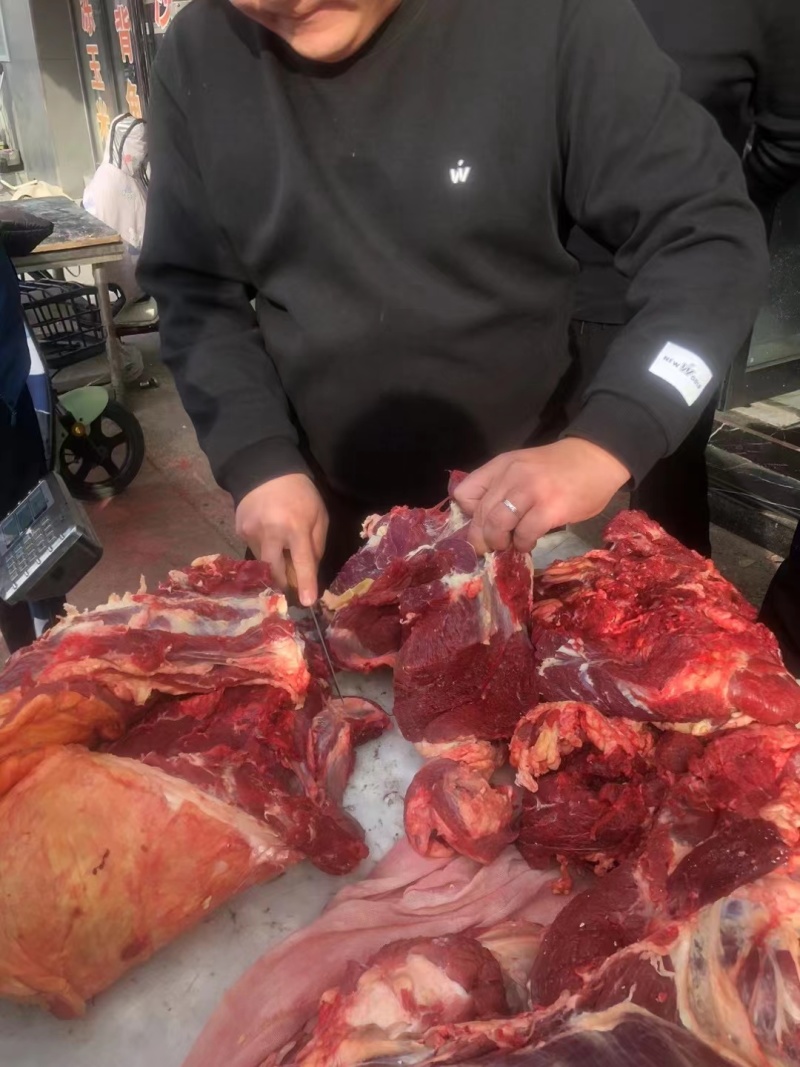 牛肉四分体牛肉精修去油牛前牛后源头厂家直销