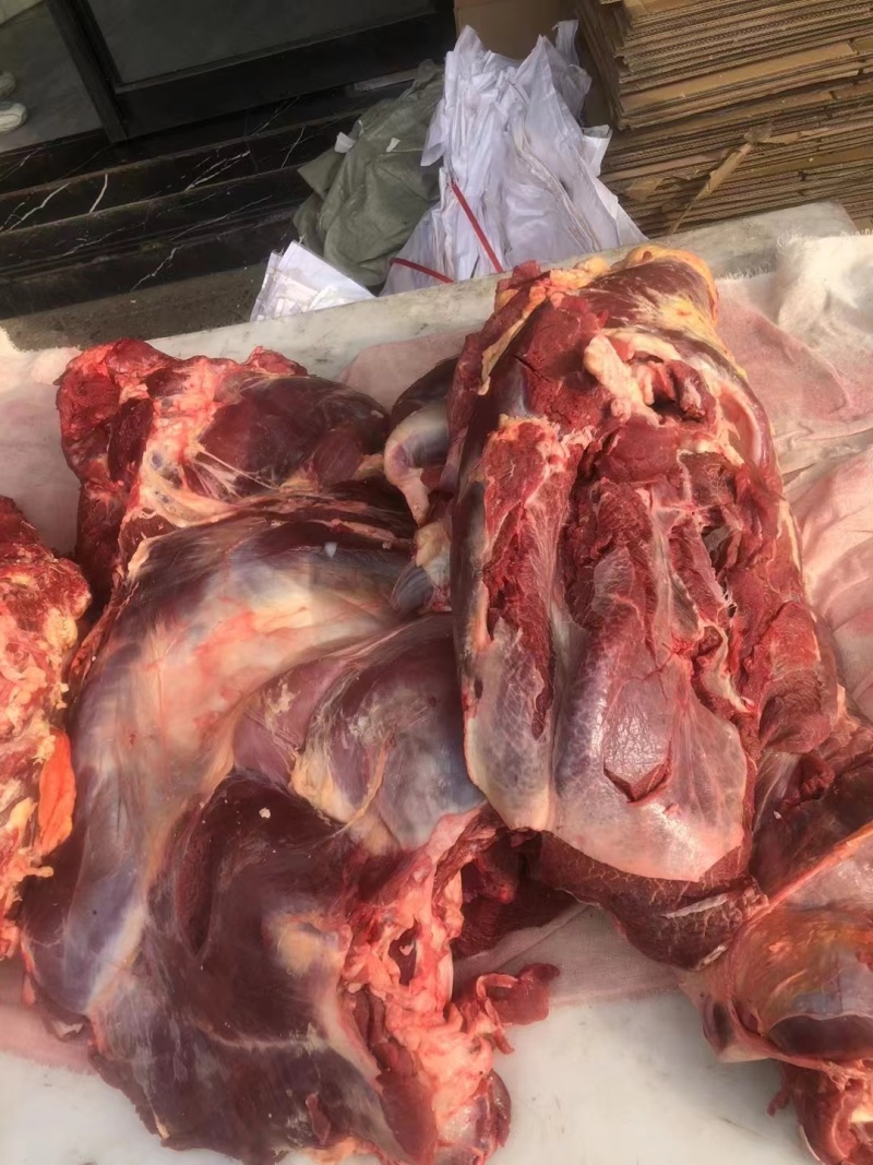 牛肉四分体牛肉精修去油牛前牛后源头厂家直销