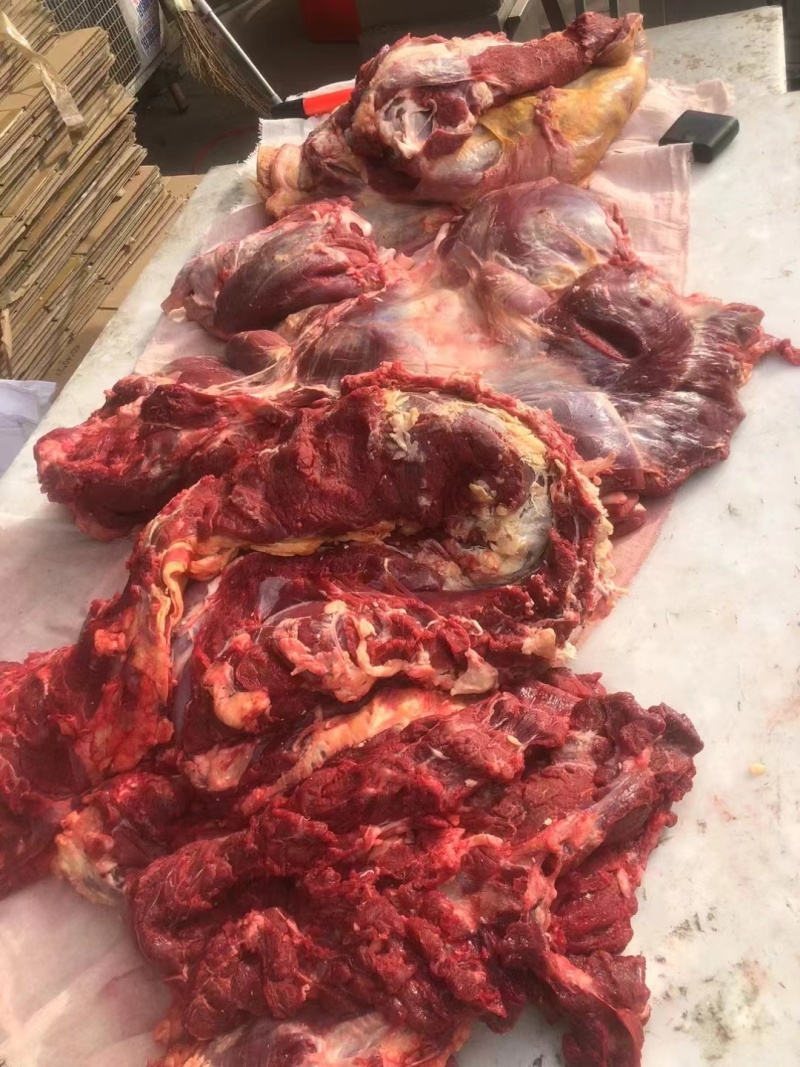 牛肉四分体牛肉精修去油牛前牛后源头厂家直销