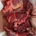 牛肉四分体牛肉精修去油牛前牛后源头厂家直销