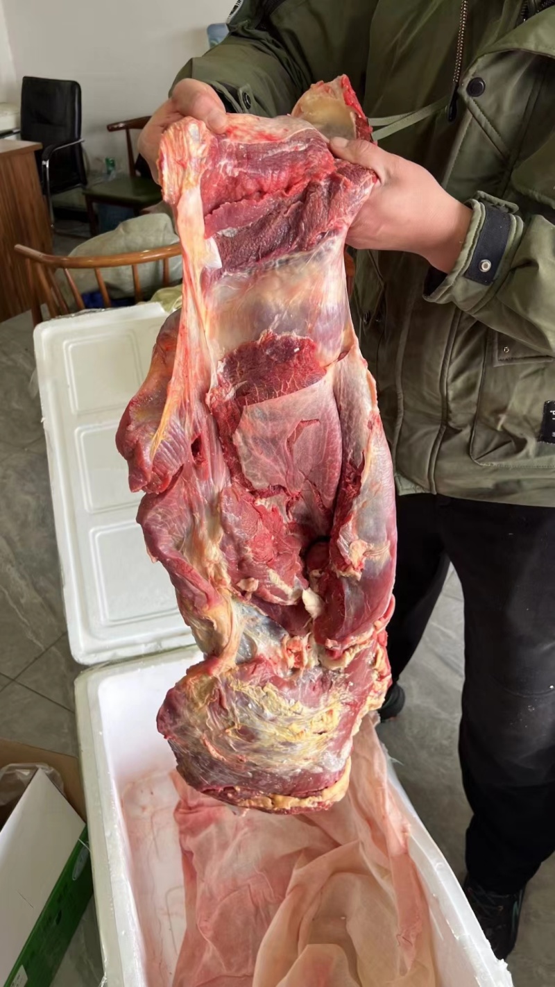 牛肉四分体牛肉精修去油牛前牛后源头厂家直销