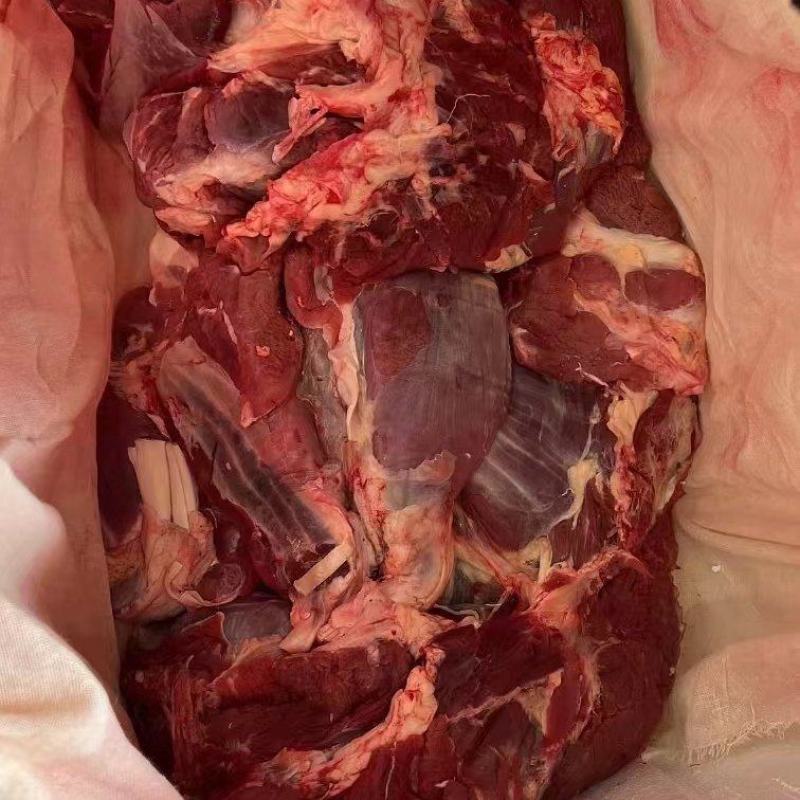 牛肉四分体牛肉精修去油牛前牛后源头厂家直销