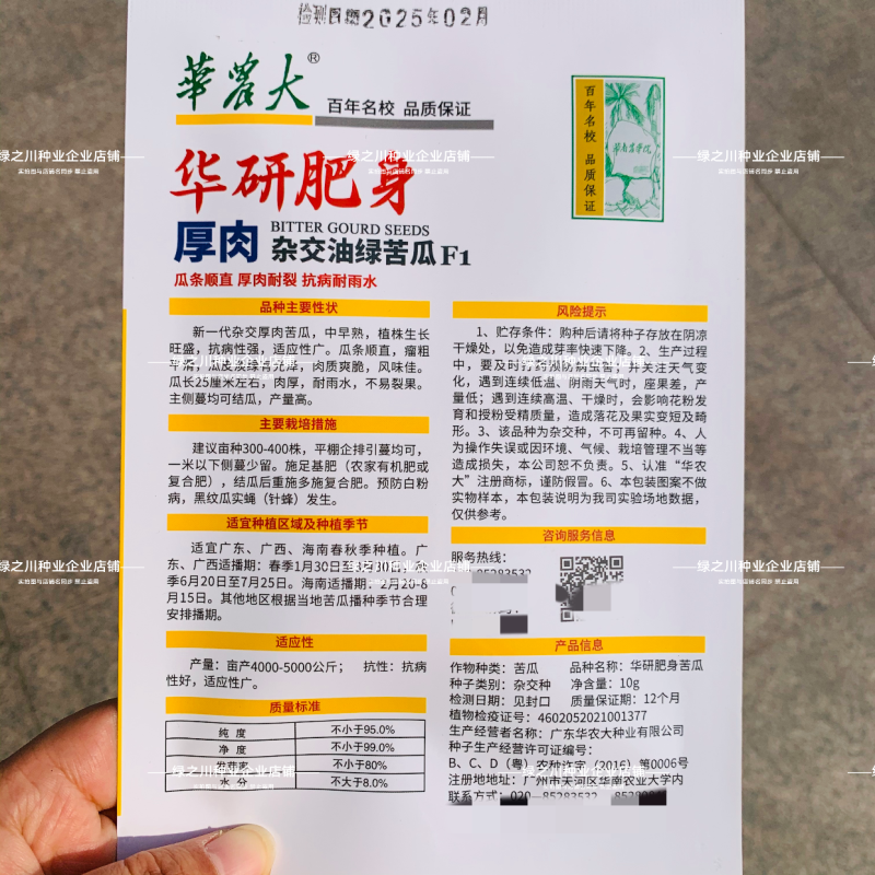 华农大华研肥身苦瓜种子耐热杂交油绿苦瓜种子厚肉耐雨水