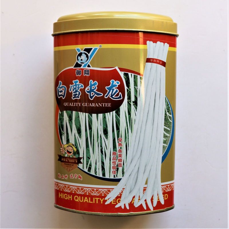 白雪长龙豇豆种子高产豆角抗病长豇豆大田肉厚种四季蔬菜