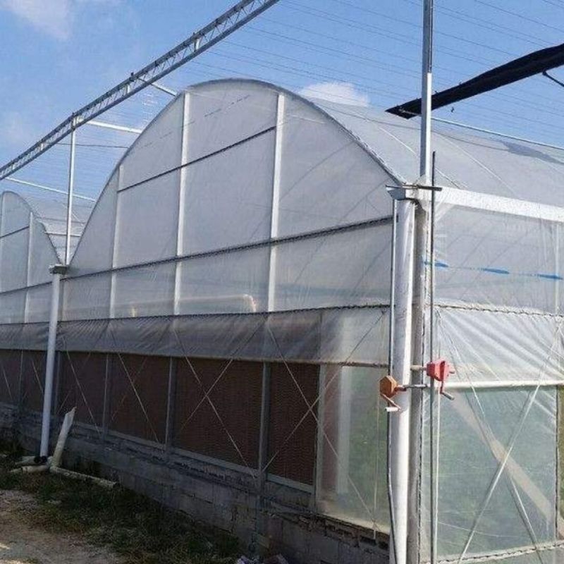 连体大棚薄膜温室联栋大棚单体连体无土栽培养殖