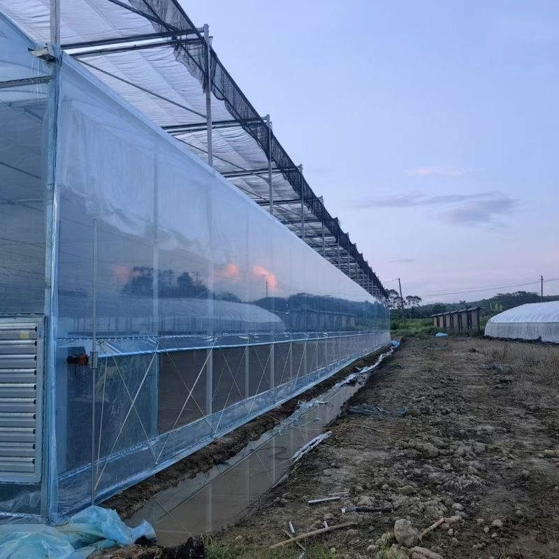 连体大棚薄膜温室联栋大棚单体连体无土栽培养殖