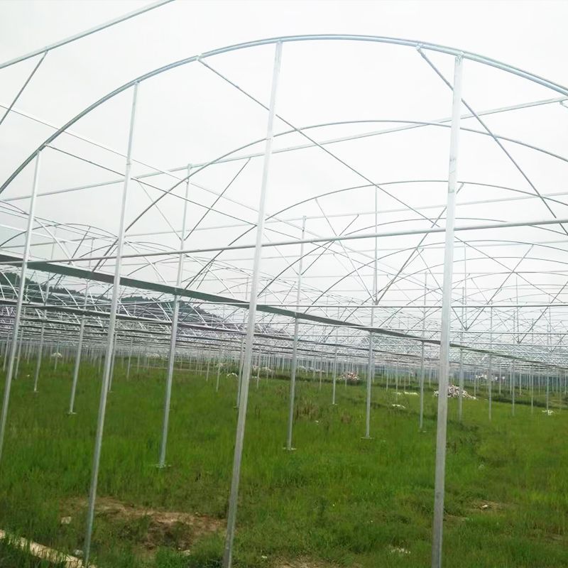 连体大棚薄膜温室联栋大棚单体连体无土栽培养殖