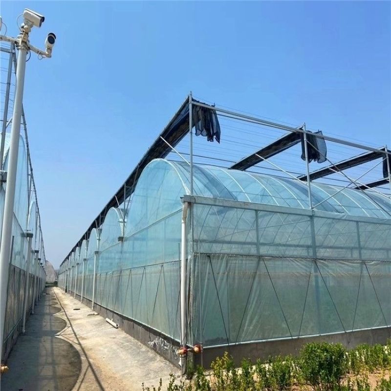 连体大棚薄膜温室联栋大棚单体连体无土栽培养殖