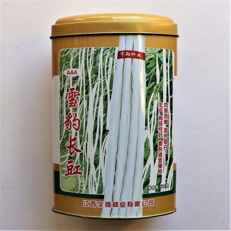 雪豹长豇豇豆种子抗病高产厚肉型长白豆角种子银白豇