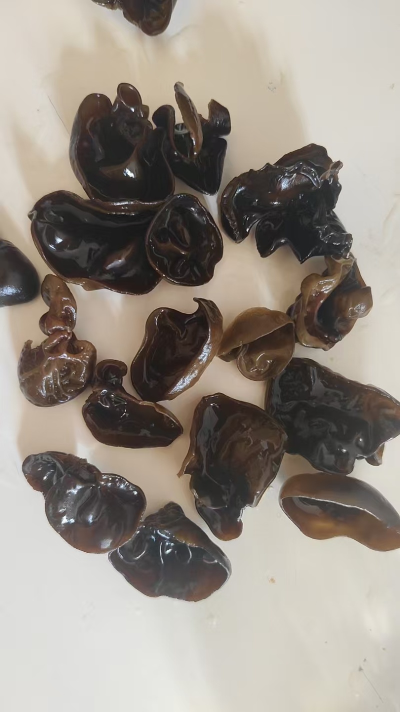 东北黑木耳黑龙江东宁基地仓储直发全国包邮到岸干度十成