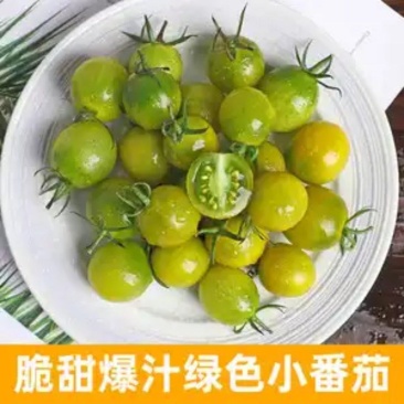 青霞66小西红柿上市了。