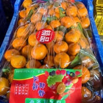 沙糖桔