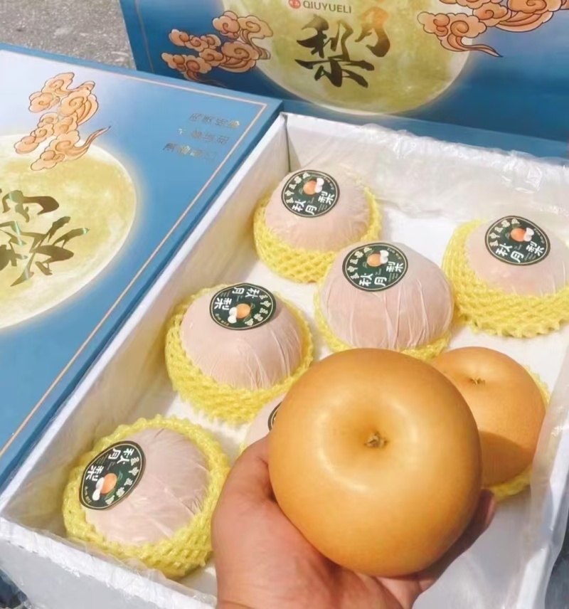 精品秋月梨丰水梨大量供应代收代发代加工对接各电商平台