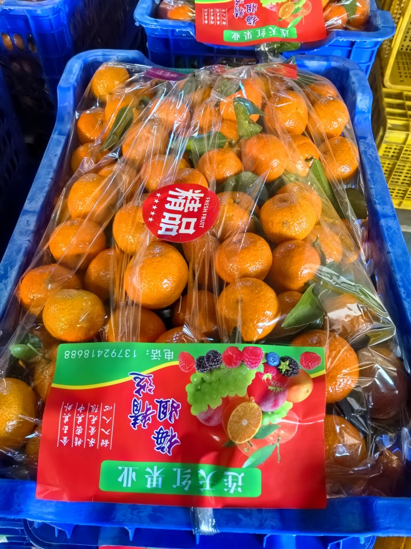 沙糖桔