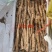 铁棍山药豆苗，种源纯正，各类规格都有，产地直发，代发全国