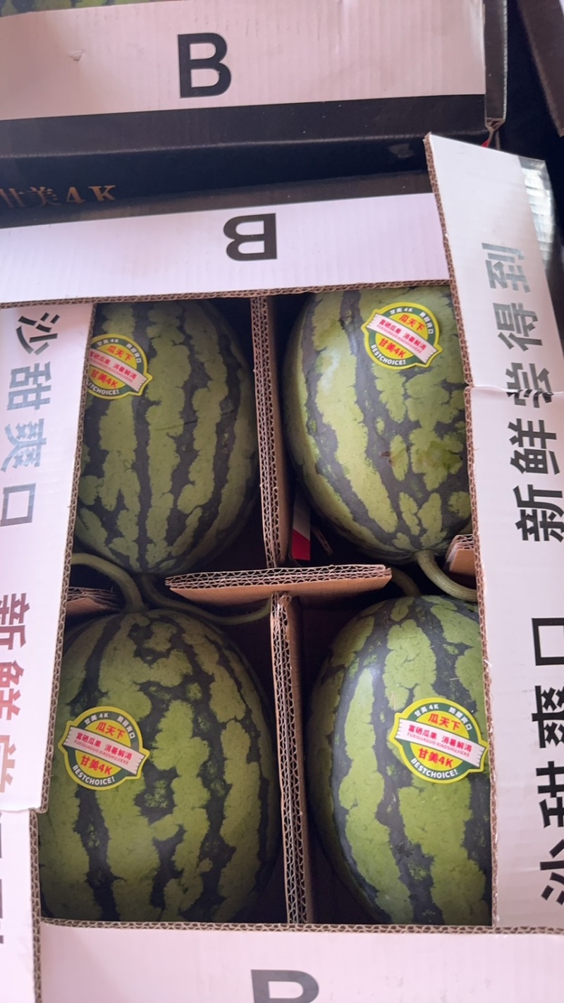 甘美4k，（嘉秀6号）