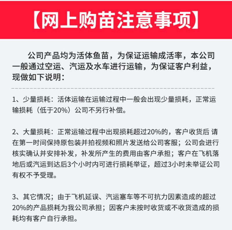 广东直销鳜鱼苗桂花鱼苗饲料桂鱼苗批发品质保证