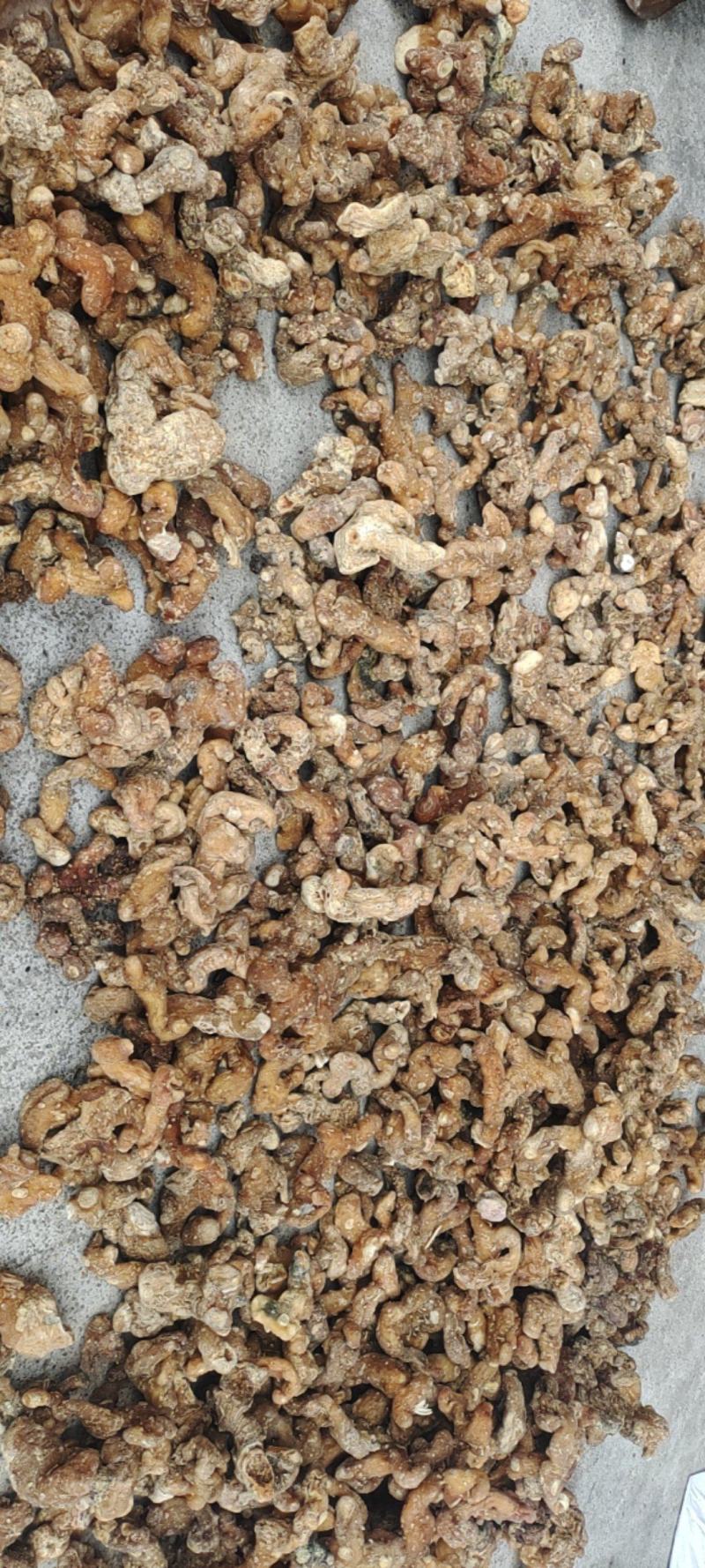 湖北黄精统货产地直发价格优惠