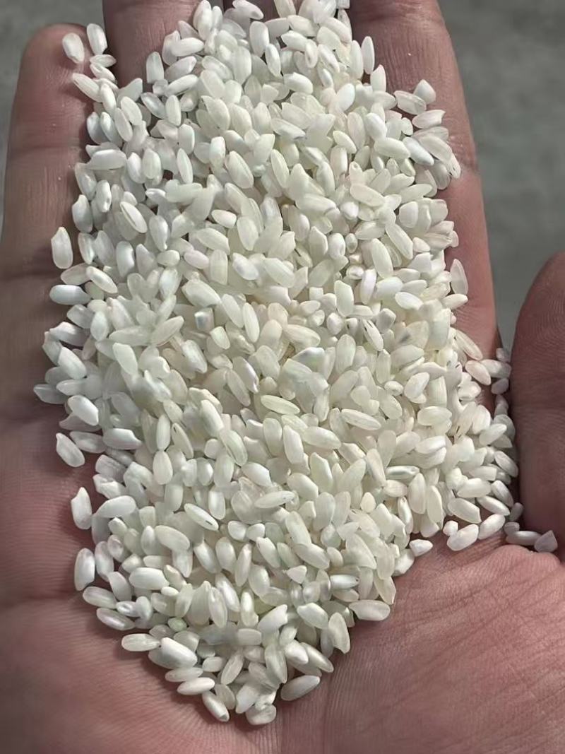 桂潮米大米米粉米米线米出浆多多现货直发