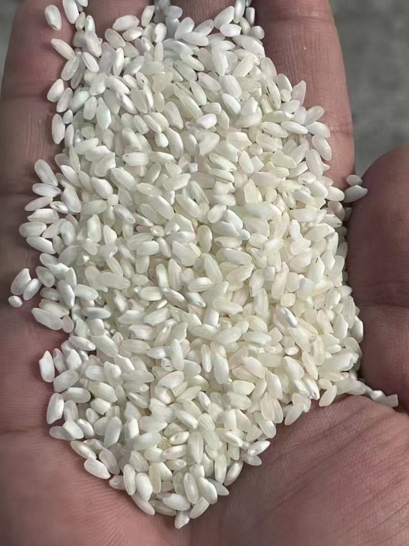 桂潮米大米米粉米米线米出浆多多现货直发
