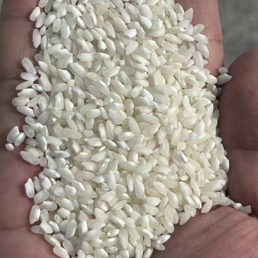 桂潮米大米米粉米米线米出浆多多现货直发