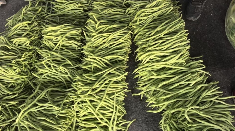 精品无丝豆大量上市中，基地直发，电商供货。