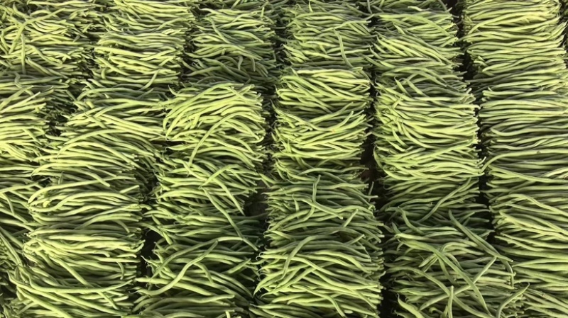 精品无丝豆大量上市中，基地直发，电商供货。
