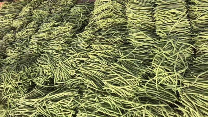 精品无丝豆大量上市中，基地直发，电商供货。