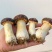 大量出售红松茸
