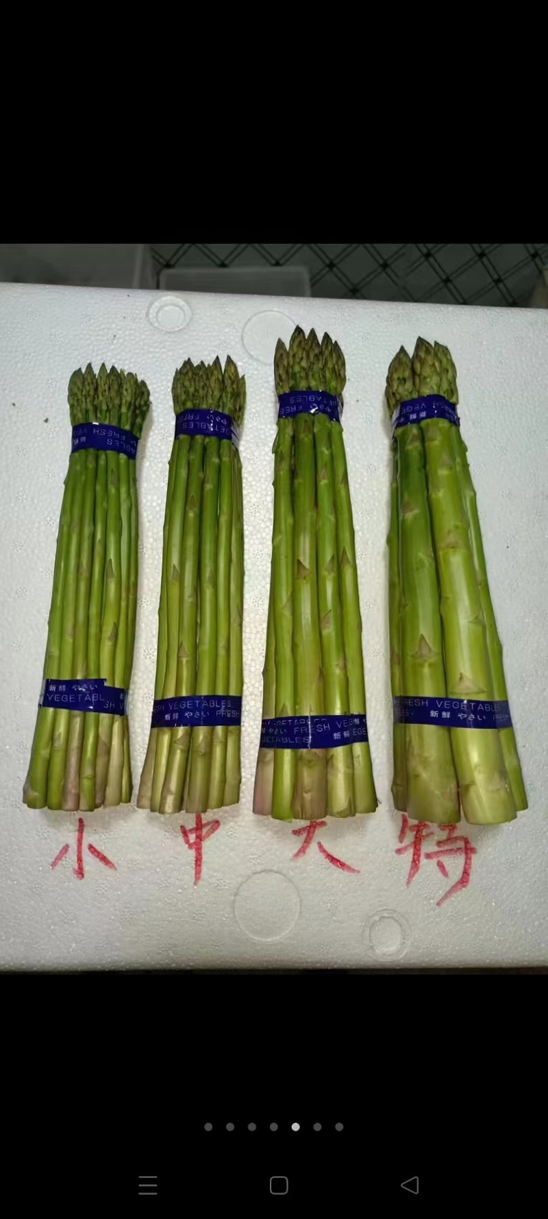 芦笋货源充足，产地直发，诚信经营，欢迎客商来电