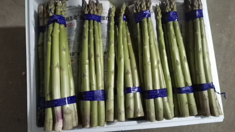芦笋货源充足，产地直发，诚信经营，欢迎客商来电