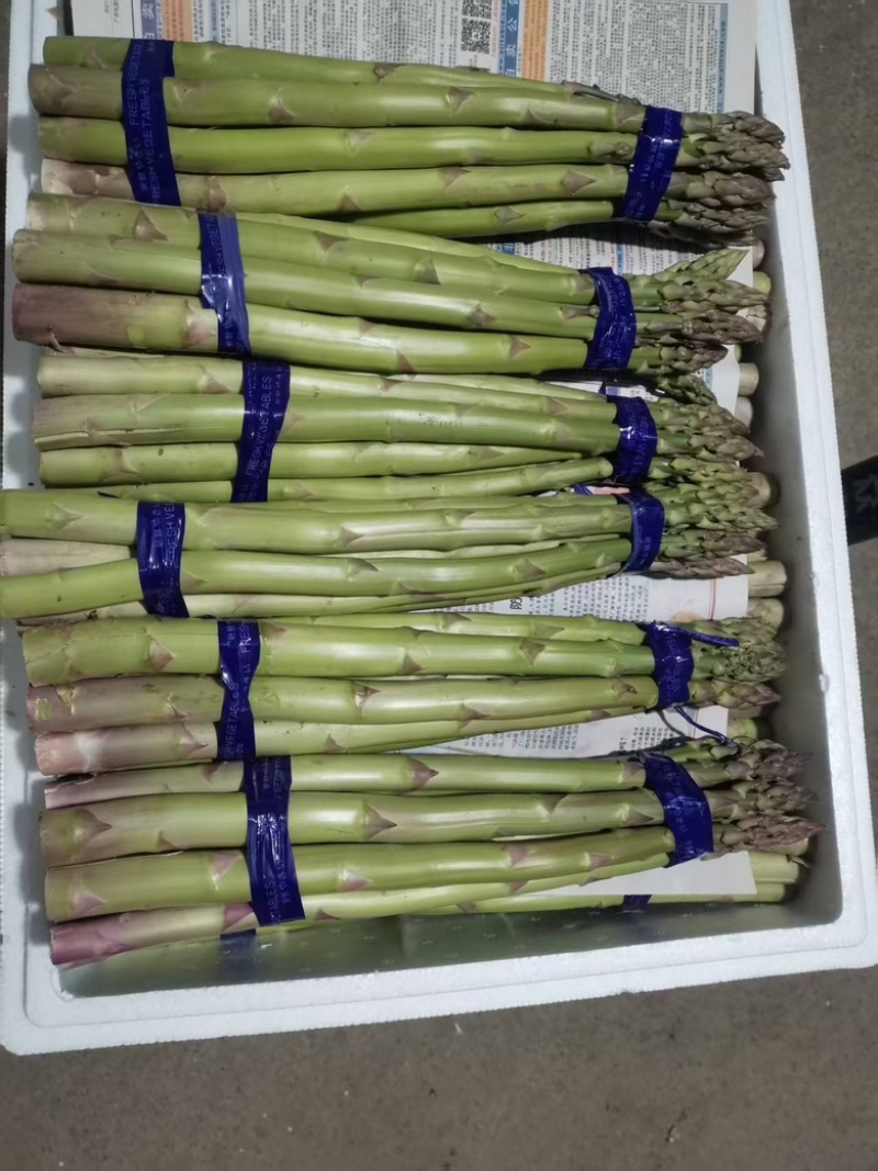 芦笋货源充足，产地直发，诚信经营，欢迎客商来电