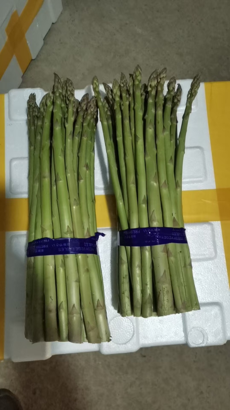 芦笋货源充足，产地直发，诚信经营，欢迎客商来电