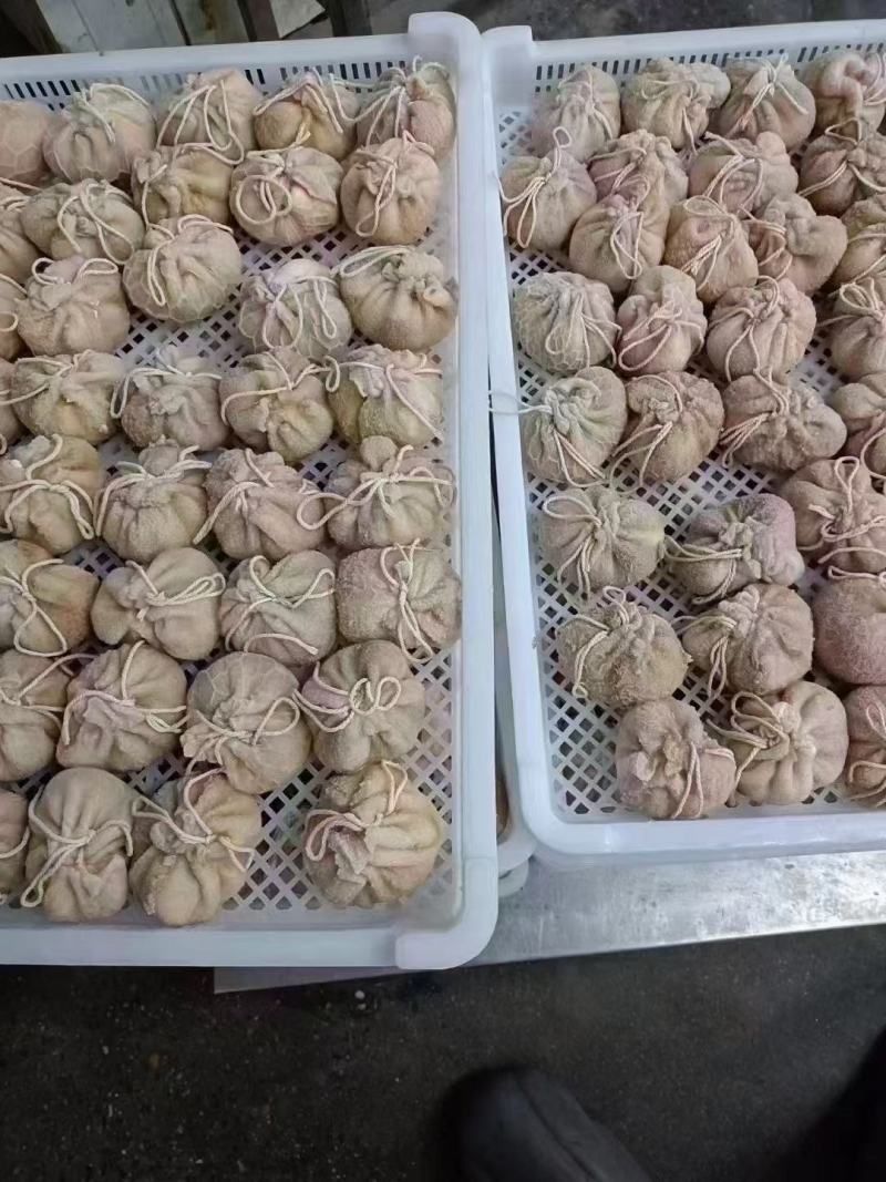 肚包肉