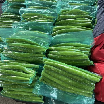莴笋肉，真空包装莴笋肉，削皮莴笋，袋装莴苣肉，山东兰陵，