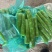 莴笋肉，真空包装莴笋肉，削皮莴笋，袋装莴苣肉，山东兰陵，